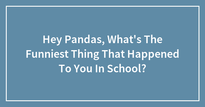 Hey Pandas, What’s The Funniest Thing That Happened To You In School?