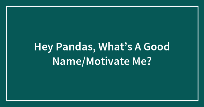 Hey Pandas, What’s A Good Name/Motivate Me?