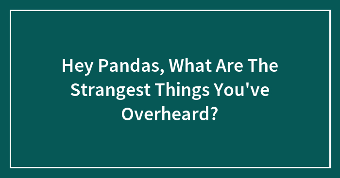 Hey Pandas, What Are The Strangest Things You’ve Overheard? (Closed)