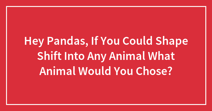 Hey Pandas, If You Could Shape Shift Into Any Animal What Animal Would You Chose?