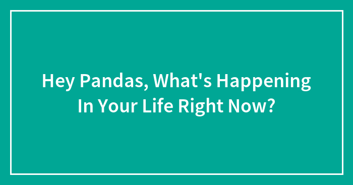 Hey Pandas, What’s Happening In Your Life Right Now? (Closed)
