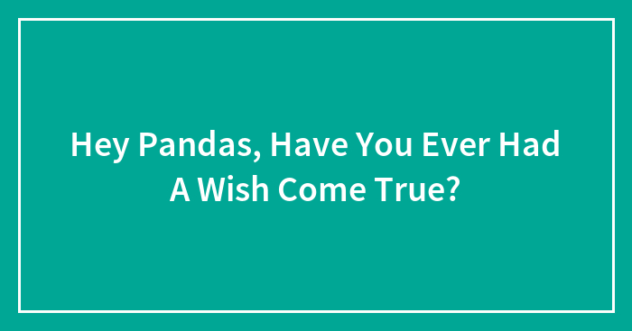 Hey Pandas, Have You Ever Had A Wish Come True?