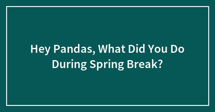 Hey Pandas, What Did You Do During Spring Break? (Closed)