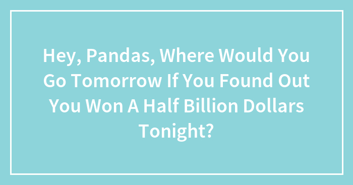 Hey, Pandas, Where Would You Go Tomorrow If You Found Out You Won A Half Billion Dollars Tonight?