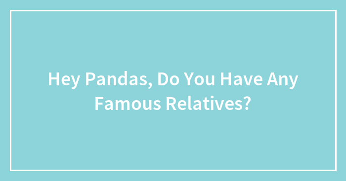 Hey Pandas, Do You Have Any Famous Relatives? (Closed)