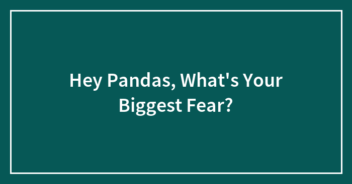 Hey Pandas, What’s Your Biggest Fear? (Closed)