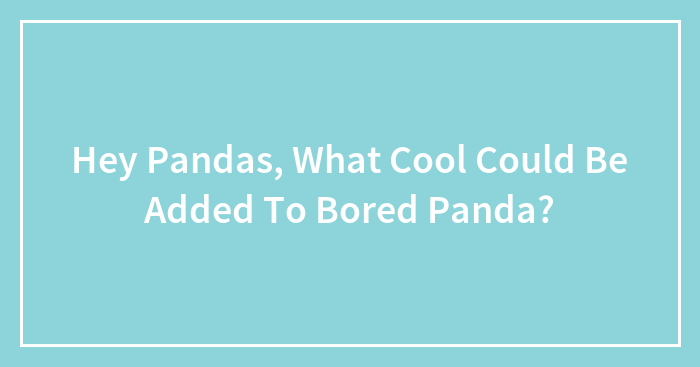 Hey Pandas, What Cool Could Be Added To Bored Panda? (Closed)