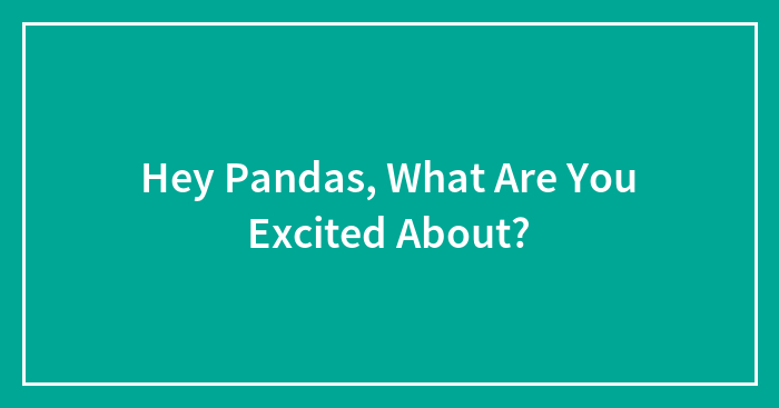 Hey Pandas, What Are You Excited About?