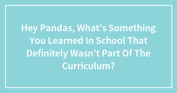 Hey Pandas, What’s Something You Learned In School That Definitely Wasn’t Part Of The Curriculum?