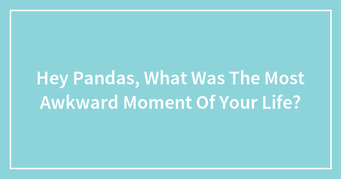 Hey Pandas, What Was The Most Awkward Moment Of Your Life? (Closed)