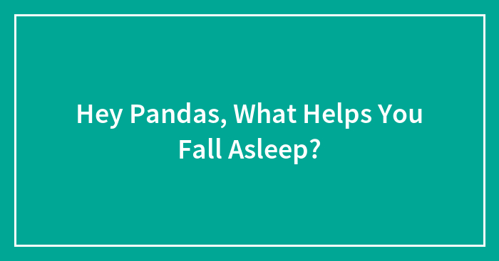 Hey Pandas, What Helps You Fall Asleep?