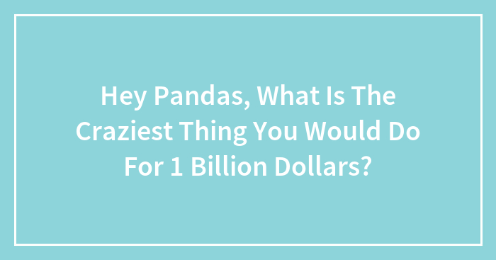 Hey Pandas, What Is The Craziest Thing You Would Do For 1 Billion Dollars? (Closed)