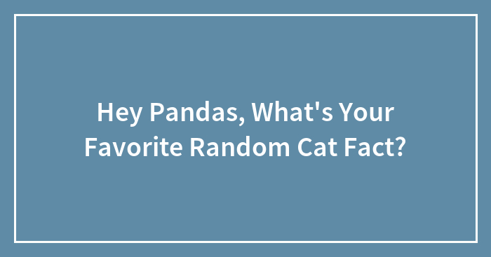 Hey Pandas, What’s Your Favorite Random Cat Fact? (Closed)