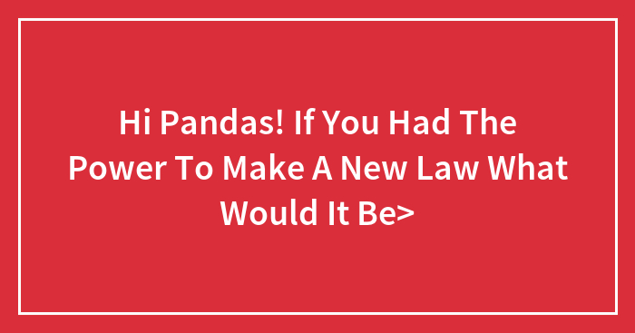 Hi Pandas! If You Had The Power To Make A New Law What Would It Be>