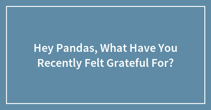Hey Pandas, What Have You Recently Felt Grateful For? (Closed)