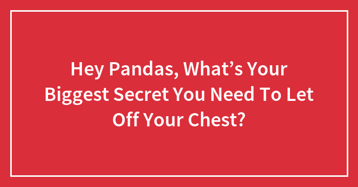 Hey Pandas, What’s Your Biggest Secret You Need To Let Off Your Chest?
