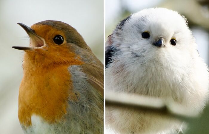 Hey Pandas, Post The Best Photographs You Took In March (Closed)