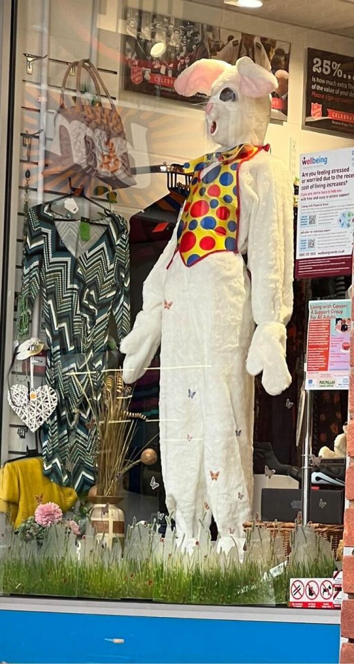 Easter Bunny In A Mr Tumble Waistcoat Anyone? Available From Salvation Army Newmarket