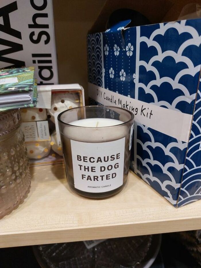 Bhf Lincoln UK... A Must Have For Any Dog Owner