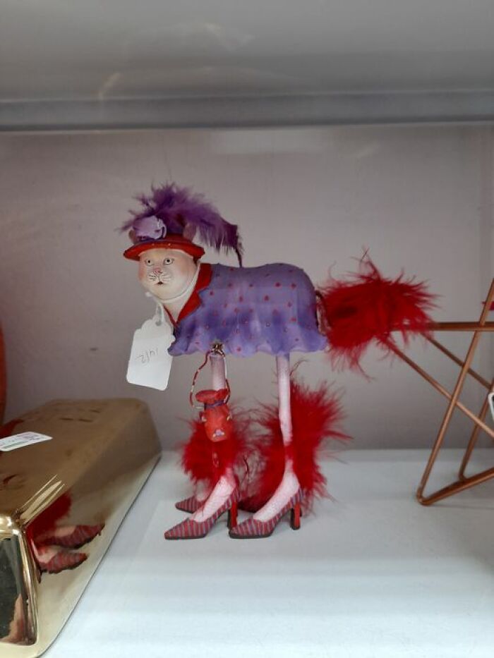 This Delight Can Be Yours For The Princely Sum Of £3.99. Age UK In Crosby, Liverpool