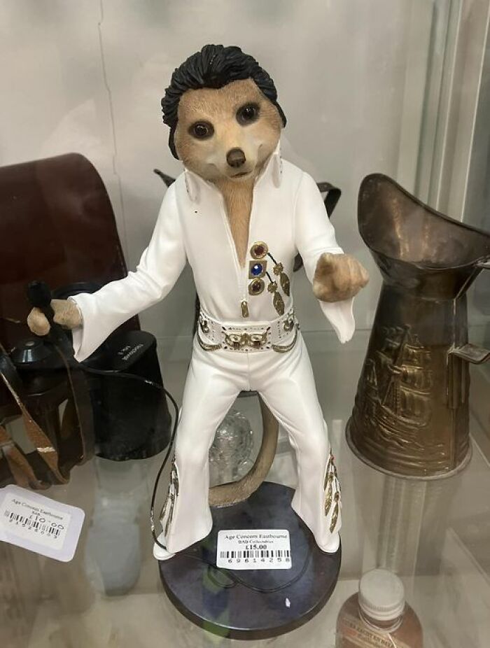 Yep, A Meerkat Elvis. And It Was In The Glass Cabinet So It Was Worth A Fair Bit…