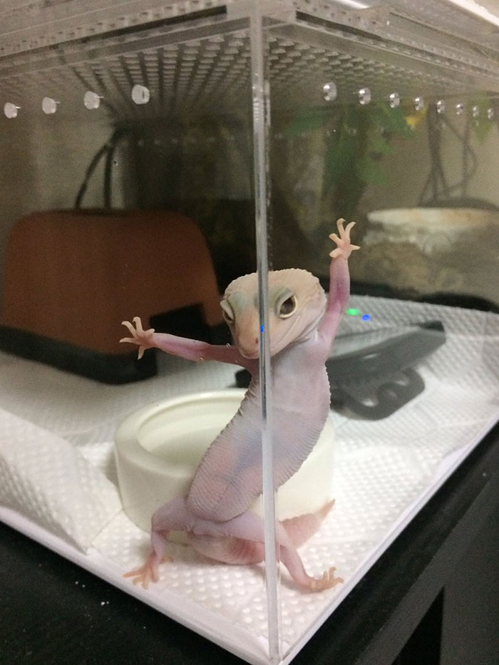 "I Was Just Posing For Pictures"