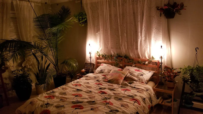 Cozy bedroom with plants, soft lighting, and floral bedding for home decoration ideas.