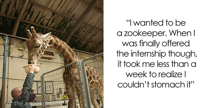 People Who Actually Got Their “Dream Job” Share Why It Actually Sucked (30 Stories)
