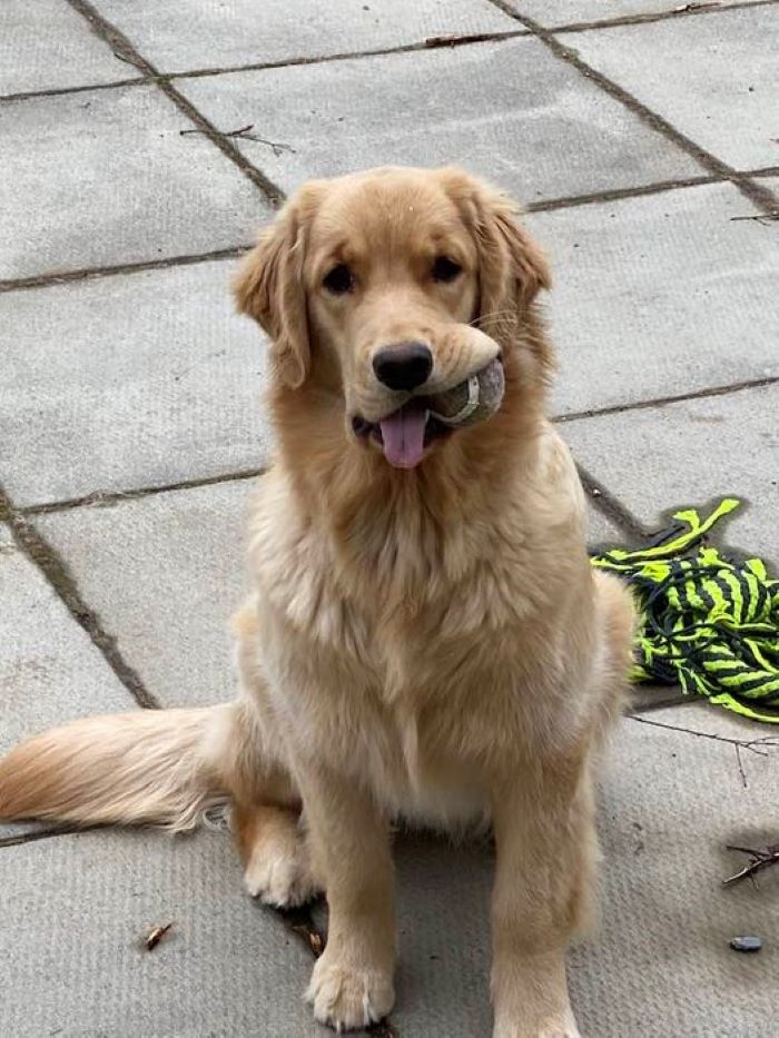 Is There Something Stuck In My Teef?