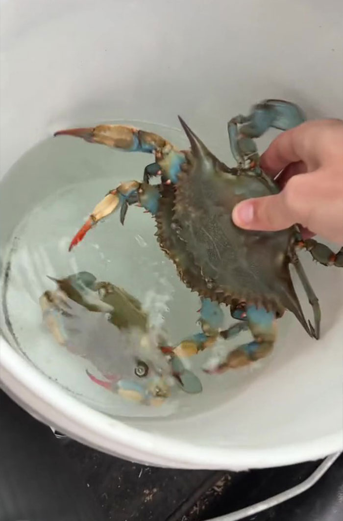 This Man Has An "Eel Pit" Under His Home And It's Making The Internet Lose Its Mind