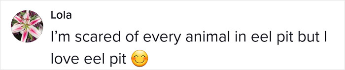 This Man Has An "Eel Pit" Under His Home And It's Making The Internet Lose Its Mind