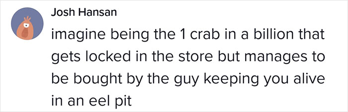 This Man Has An "Eel Pit" Under His Home And It's Making The Internet Lose Its Mind