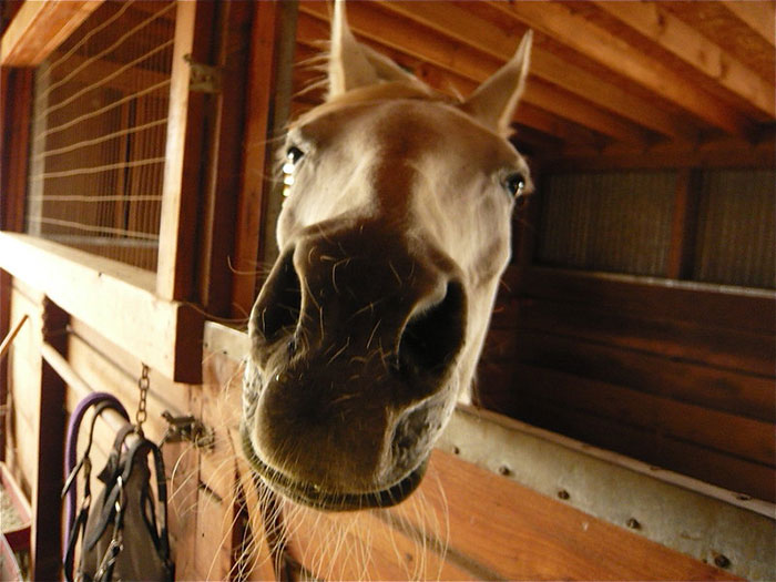 31 Times Rude Humans Mistook Others For Employees And Were Less Than Pleasant About It