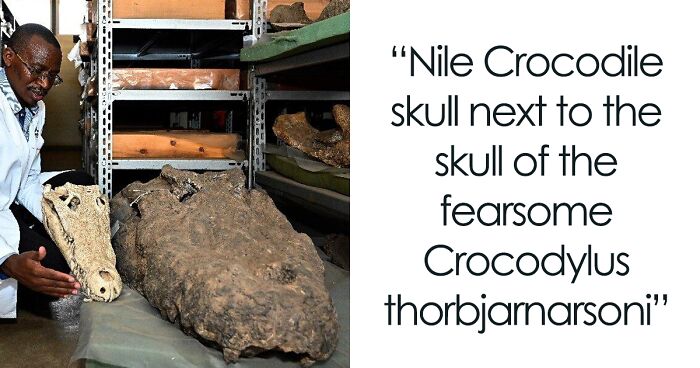 30 Pictures And Illustrations That Might Make You Say “Nature Was Metal”