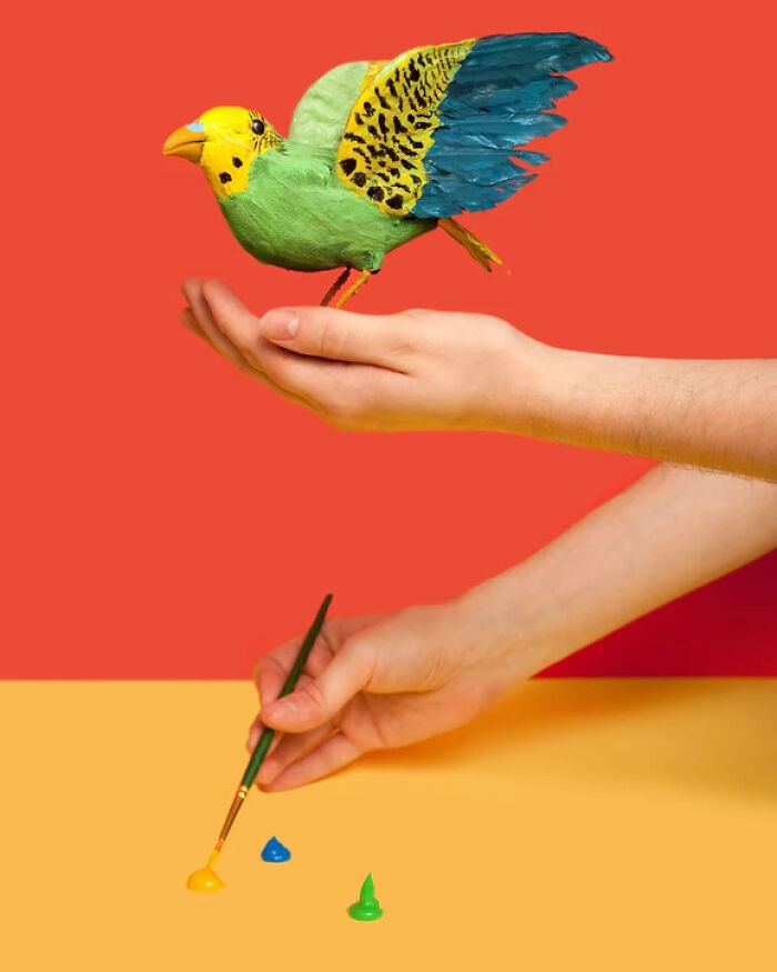 In Michigan, It's Illegal To Paint Sparrows To Sell Them As Parakeets