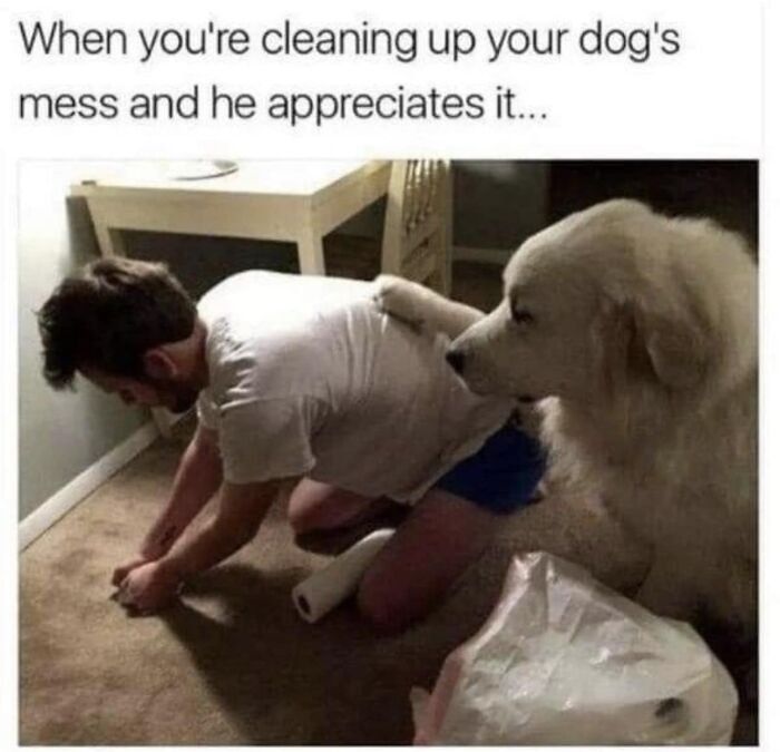 Facebook-Group-Shares-Funny-Pics-Memes