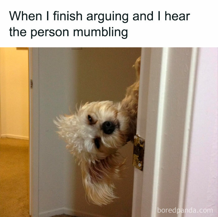 Facebook-Group-Shares-Funny-Pics-Memes