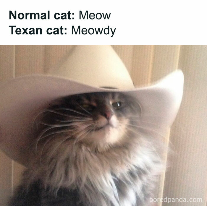 Facebook-Group-Shares-Funny-Pics-Memes