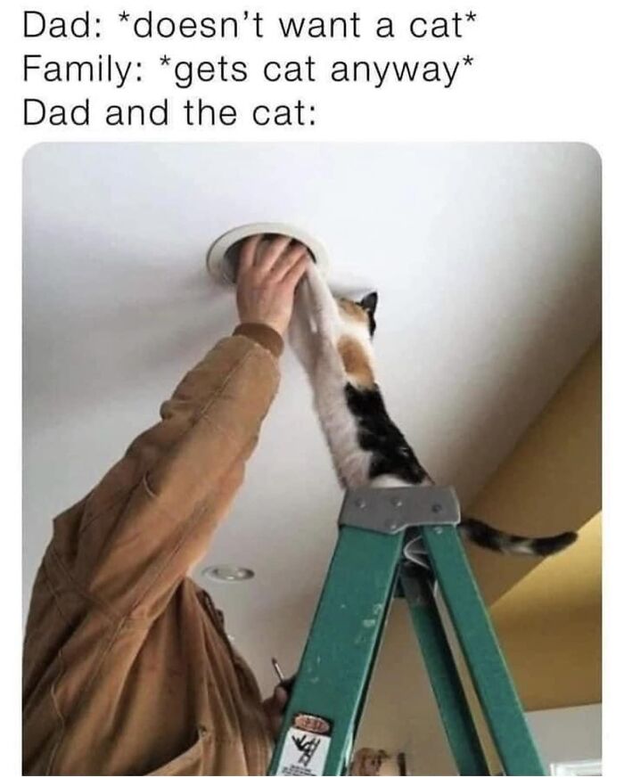 Facebook-Group-Shares-Funny-Pics-Memes