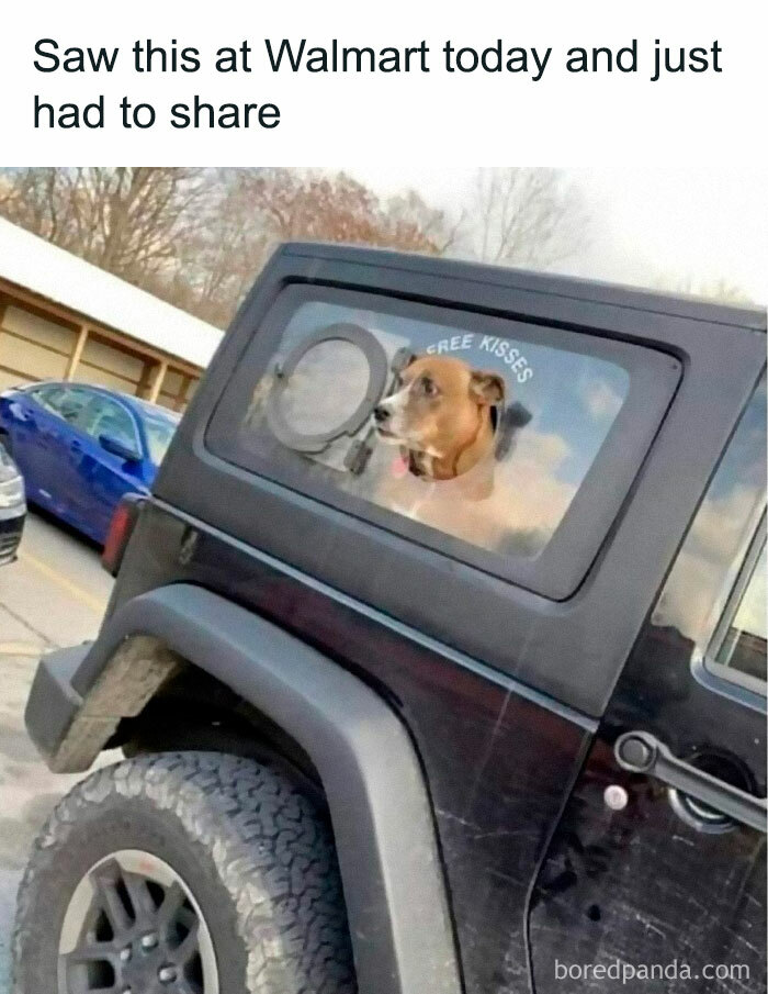 Facebook-Group-Shares-Funny-Pics-Memes