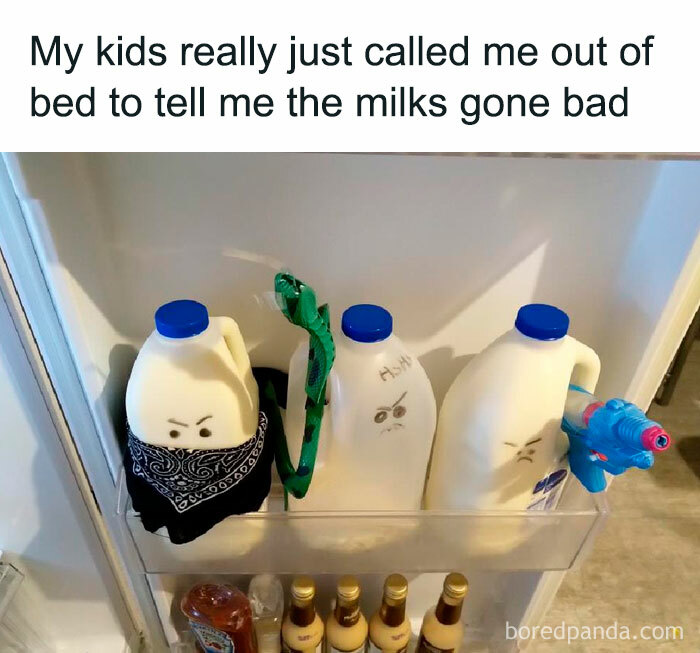 Facebook-Group-Shares-Funny-Pics-Memes