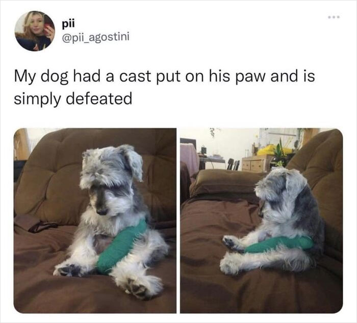 Facebook-Group-Shares-Funny-Pics-Memes