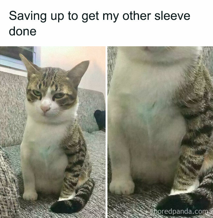 Facebook-Group-Shares-Funny-Pics-Memes