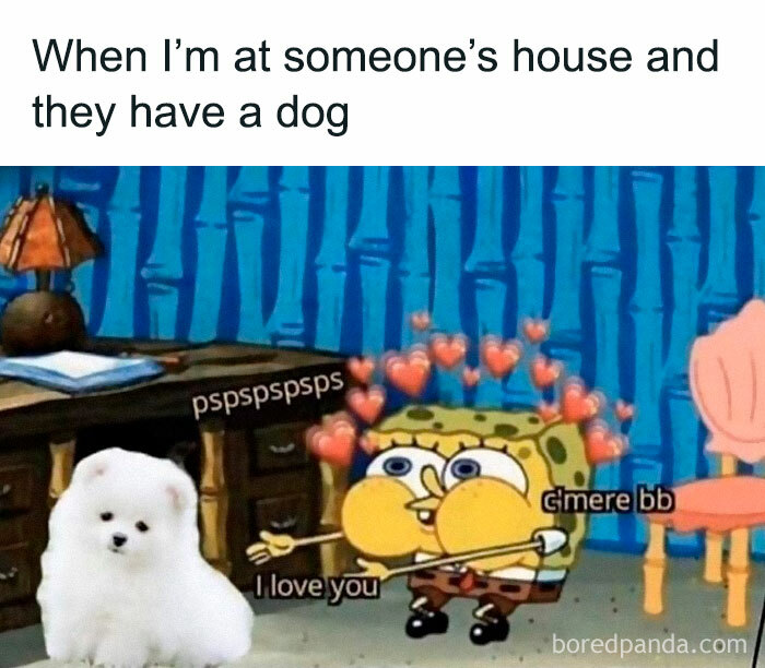 Facebook-Group-Shares-Funny-Pics-Memes