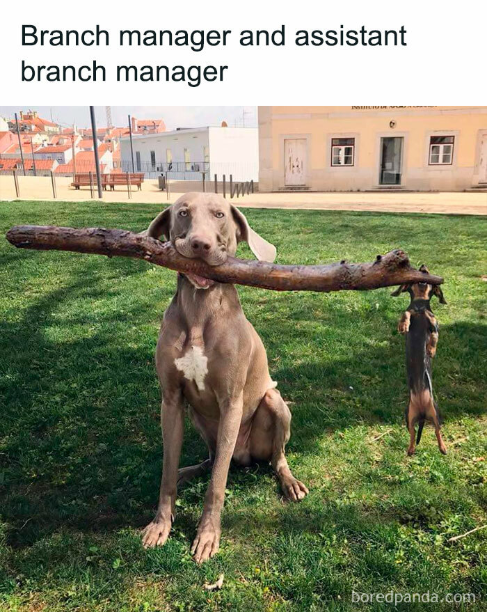 Facebook-Group-Shares-Funny-Pics-Memes