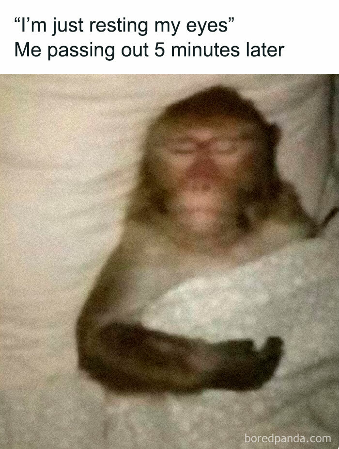 Facebook-Group-Shares-Funny-Pics-Memes