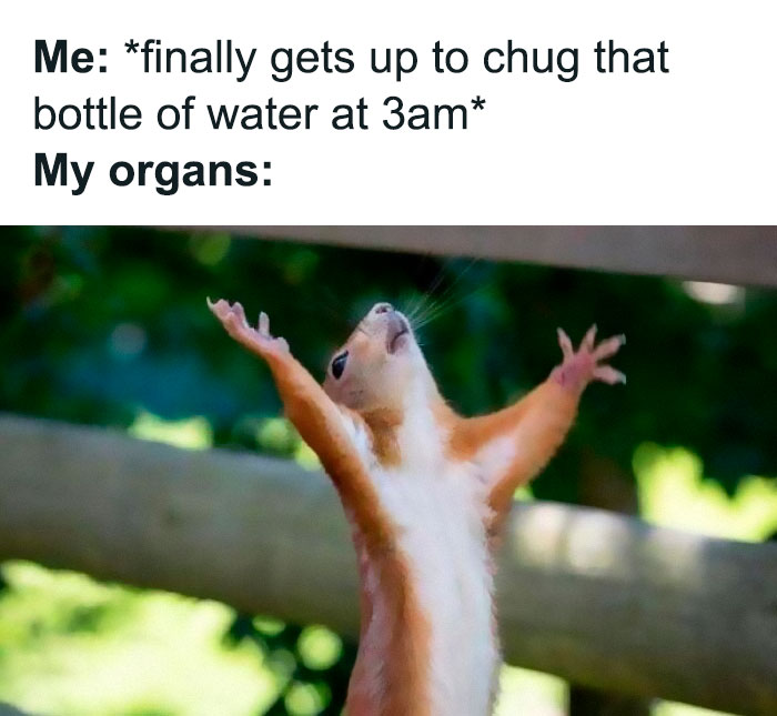 Facebook-Group-Shares-Funny-Pics-Memes