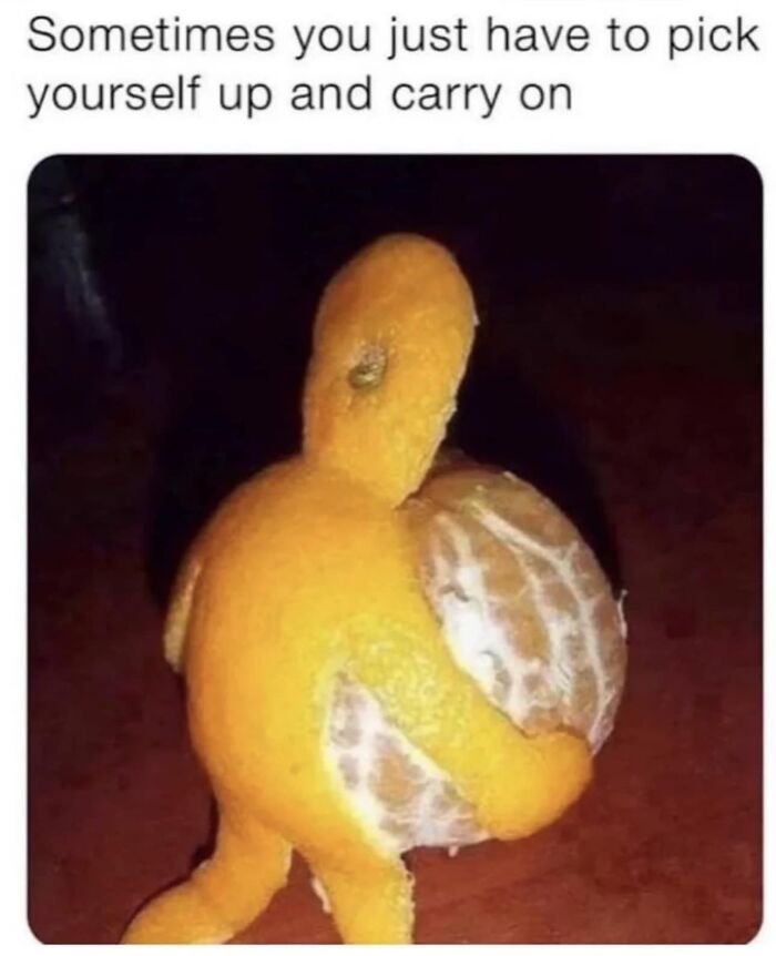 Facebook-Group-Shares-Funny-Pics-Memes