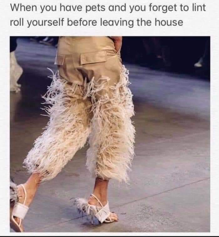 Facebook-Group-Shares-Funny-Pics-Memes