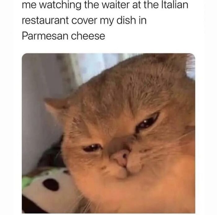 Facebook-Group-Shares-Funny-Pics-Memes